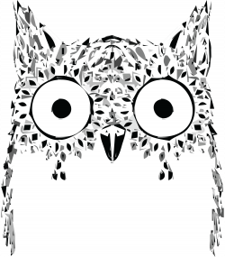 Owl Face Drawing at GetDrawings.com | Free for personal use Owl Face ...