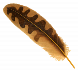 Halotus' Poisoned Feather | Warehouse 13 Artifact Database Wiki ...