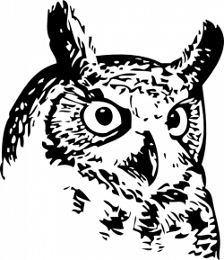 Great Owl 2 Clip Art at Clker.com - vector clip art online, royalty ...