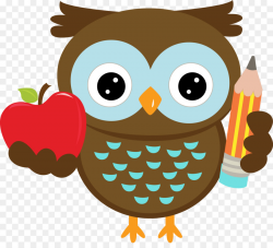 Bird Cartoon clipart - Owl, Kindergarten, Teacher ...