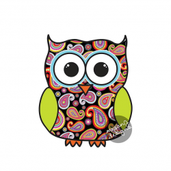 Black Paisley Owl Car Decal - Colorful Cute Owl Bumper Sticker Laptop Decal  Pink Yellow Blue Lime Green Animal Bird Sticker