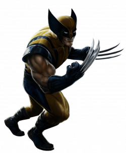 Wolverine clipart transparent - Pencil and in color wolverine ...