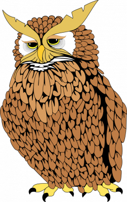 Owl clipart realistic