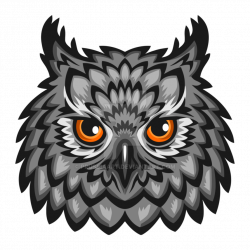 Head of an owl on a transparent background. by PRUSSIAART on DeviantArt