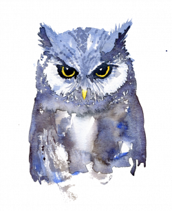watercolor owlart owl owlstickers art paint owls owlst...