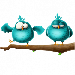 Bird Owl Watercolor painting Clip art - Birds 564*564 transprent Png ...