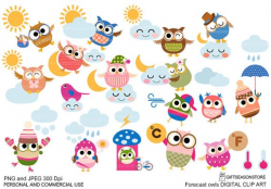 Forecast Owls Weather owl Digital clip art for Personal and ...