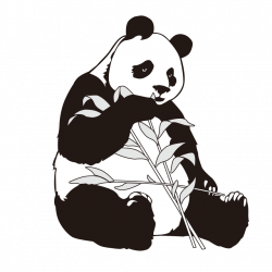 Giant panda Bamboo Clip art - Cartoon panda 860*860 transprent Png ...
