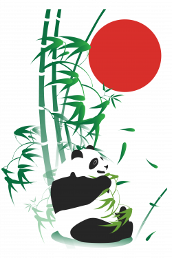 Giant panda Bamboo Drawing Adobe Illustrator - Natural decoration of ...