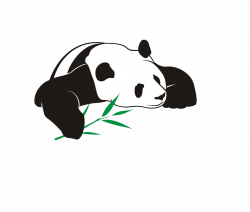 Giant panda Bear Illustration - Panda eating bamboo 1374*1168 ...