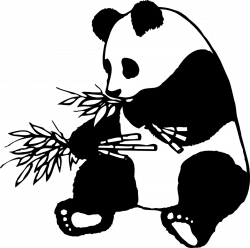 Illustration of a giant panda eating bamboo : Free Stock Photo ...