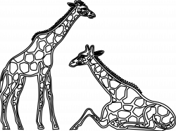 Black And White Giraffe Clipart #2050547