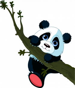 Giant panda Tree climbing Cuteness Clip art - Panda climbing a tree ...