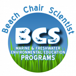 Beach Chair Scientist — Marine & Freshwater Environmental Education