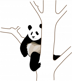 Clipart - giant-panda-2