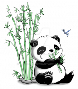 Panda Eating Bamboo | Panda mania | Pinterest | Panda