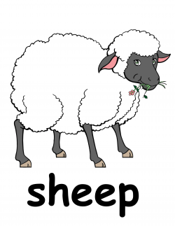 Flock Of Sheep Clipart Clipart Panda Free Clipart Image ...