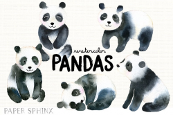 Watercolor Panda Clipart | Panda Bear Family - Illustrated Nursery Wall Art  - Baby Showers - Digital Instant Download PNG