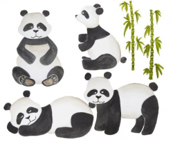 Watercolor panda clipart, Panda clipart, Panda clip art ...