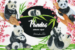 Panda Watercolor Clipart