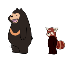We Bare Bears- Sun and Red by Dragonflame7337 : redpandas