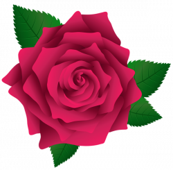 Pink Rose PNG Image Clipart | flower clip art | Pinterest | Pink ...