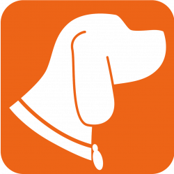 Community — DOG WALKING | PACK WALKING | PET SITTING in RANCHO ...