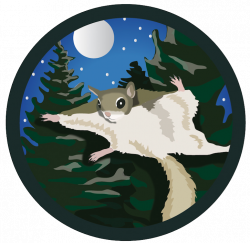 Timberdoodle Studio - Sticker for Mount Mitchell State Park