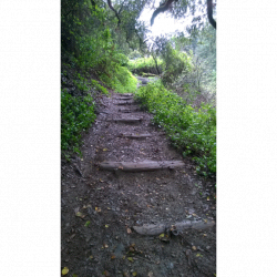 Steps for Hiking Trails in Joaquin Miller Park – OaklandTrails.org