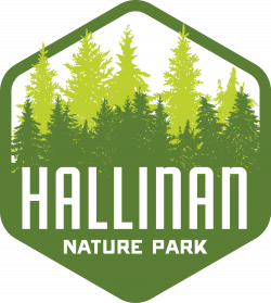 Let's Create Hallinan Nature Park