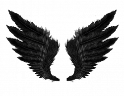 Wings PNG Clipart | PNG Mart