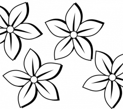 Outlines Of Flowers For Colouring sunflower clipart flower outline ...