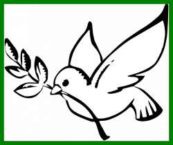 Best Peace Dove Clipart Coloring Page Pencil And In Color Pics For ...
