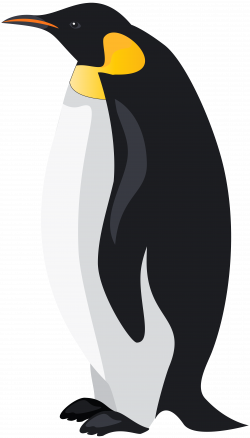Emperor Penguin PNG Clip Art Image | Gallery Yopriceville - High ...