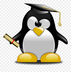 Graduation Ceremony Tuxedo Graduate University Penguin ...