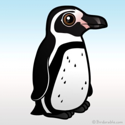 Cute Humboldt Penguin by Birdorable < Meet the Birds