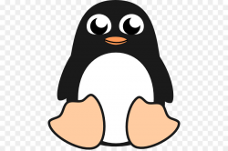 Penguin Cartoon clipart - Penguin, Nose, Bird, transparent ...
