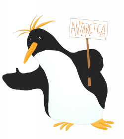 Macaroni Penguin Clipart