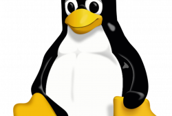 UK Government Recruits Chief Open Source Penguin
