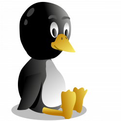 King Penguin clipart pingu - Pencil and in color king penguin ...