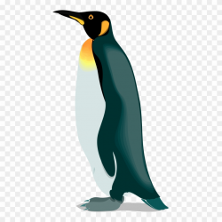 The Emperor Penguins Gentoo Penguin - Realistic Penguin ...