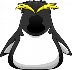 Image - Rock-hopper Penguin Costume.png | Club Penguin Wiki | FANDOM ...