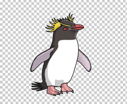 King Penguin Southern Rockhopper Penguin Emperor Penguin ...