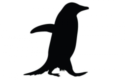 Penguin-silhouette-vectors | Silhouettes | Silhouette vector ...