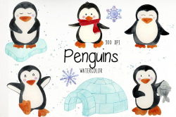 Watercolor Penguins Clipart, Penguins Clipart, Penguins PNG