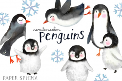 Watercolor Penguins Clipart ~ Illustrations ~ Creative Market