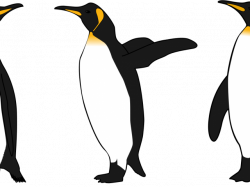 King Penguin Clipart - Free Clipart on Dumielauxepices.net