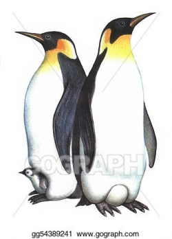 Stock Illustration - Birds emperor penguin. Clipart ...