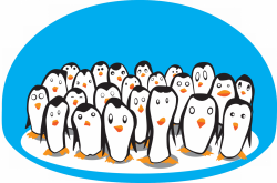 Penguins | Animals | Pinterest | Penguins