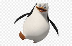 King Penguin Clipart Transparent Background - Pinguin Png ...